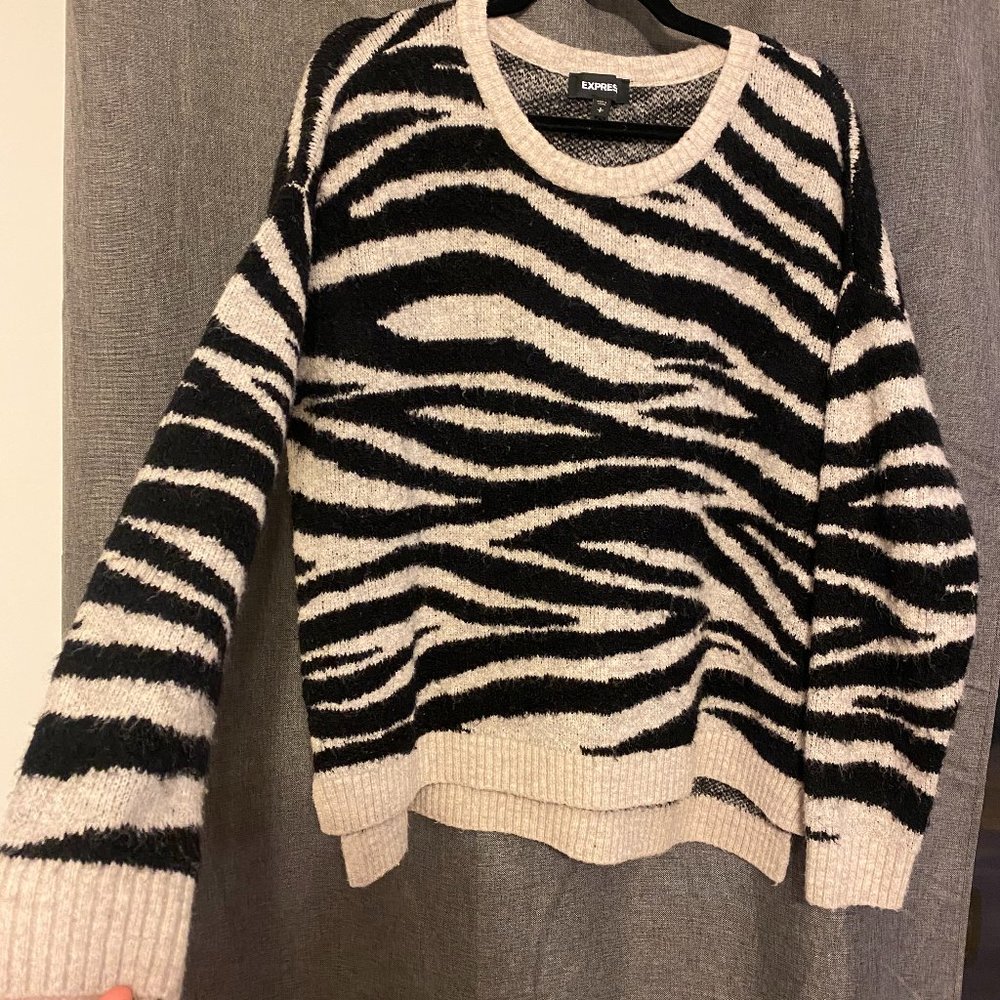 Express - Oversized Zebra Sweater